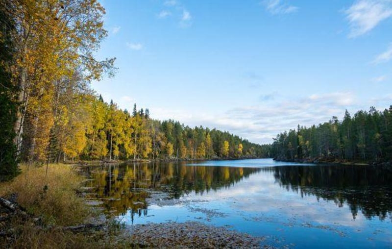 Kaunislampi Sarakylässä